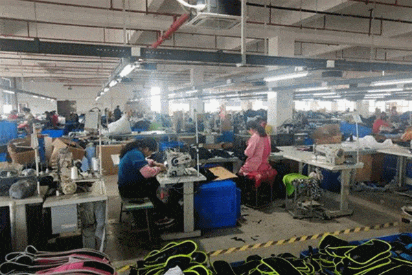 鹽城篇 在鄉(xiāng)村振興中煥發(fā)巾幗新動能