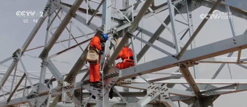 科技自強(qiáng) 會展矩陣 發(fā)力 多領(lǐng)域成果豐碩 高質(zhì)量發(fā)展步履鏗鏘