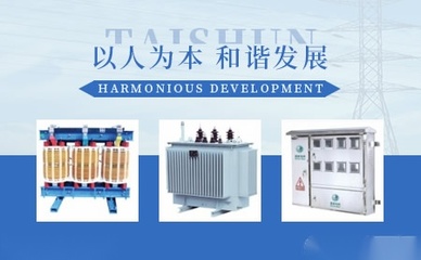 泰順電力科研 推動綠色能源與智能電網(wǎng)融合發(fā)展